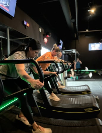 Images Alpha Fit Club