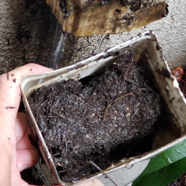 Images Scenic View Pressure Pro