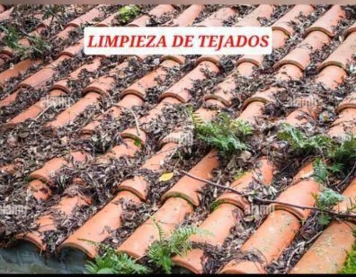 Images Tejados Molina