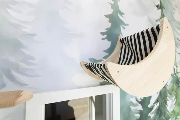 Images Cozy Cat Suites