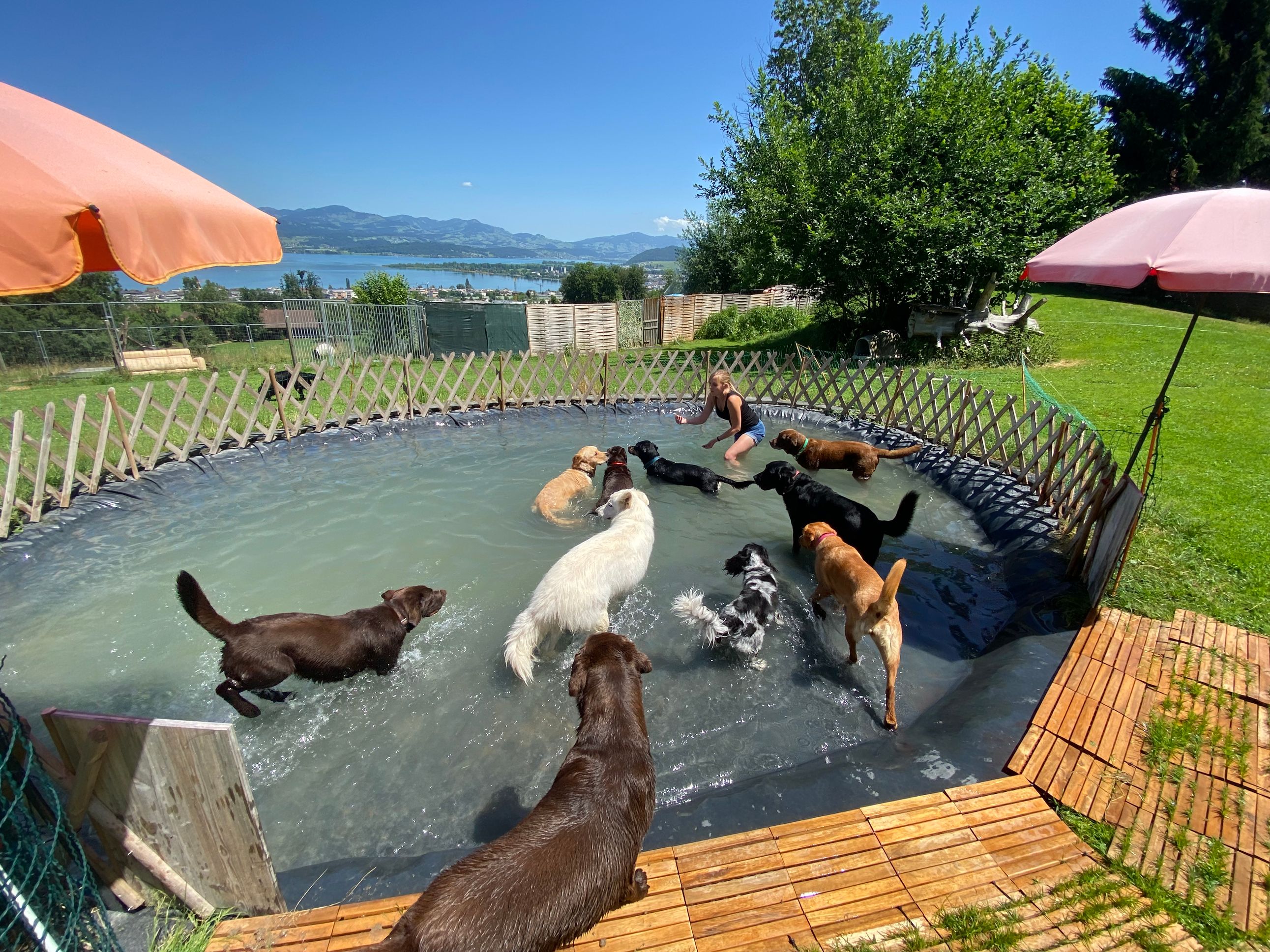 Bilder Alpepfötli GmbH