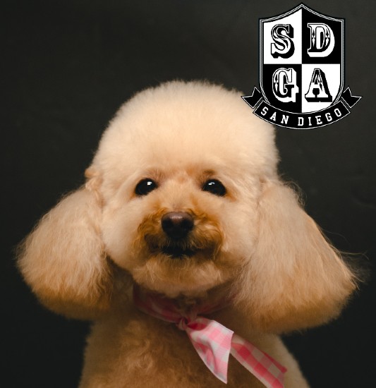 Images San Diego Grooming Academy