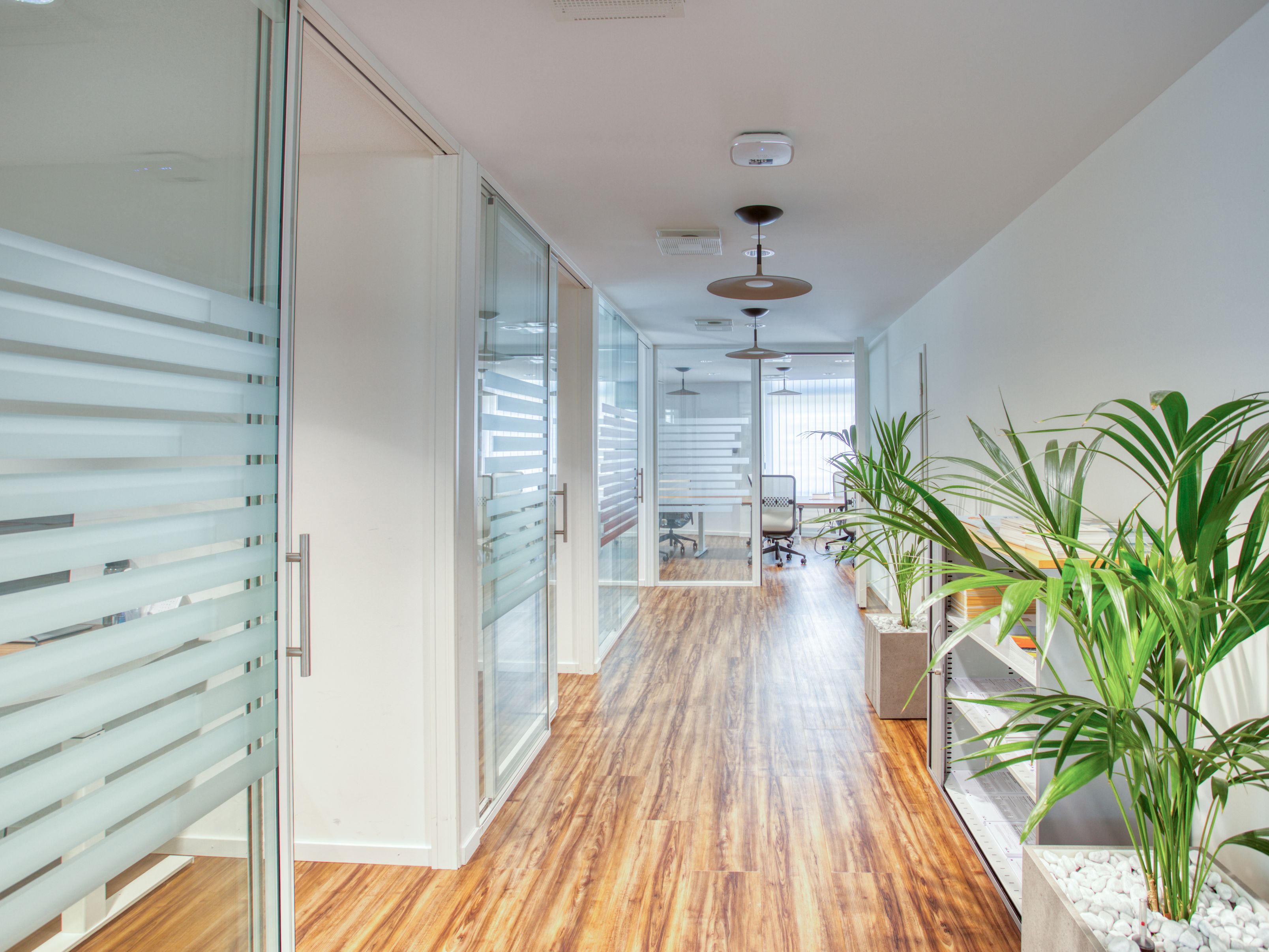 Bilder Groupe Mutuel