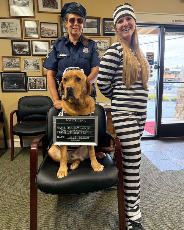 Images Anne Lintz - State Farm Insurance Agent