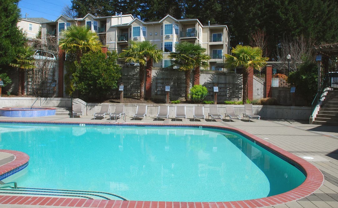 A swimming pool surrounded by a stone wall and palm trees