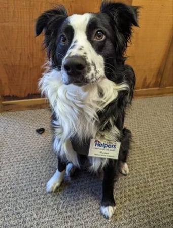 Images Senior Helpers