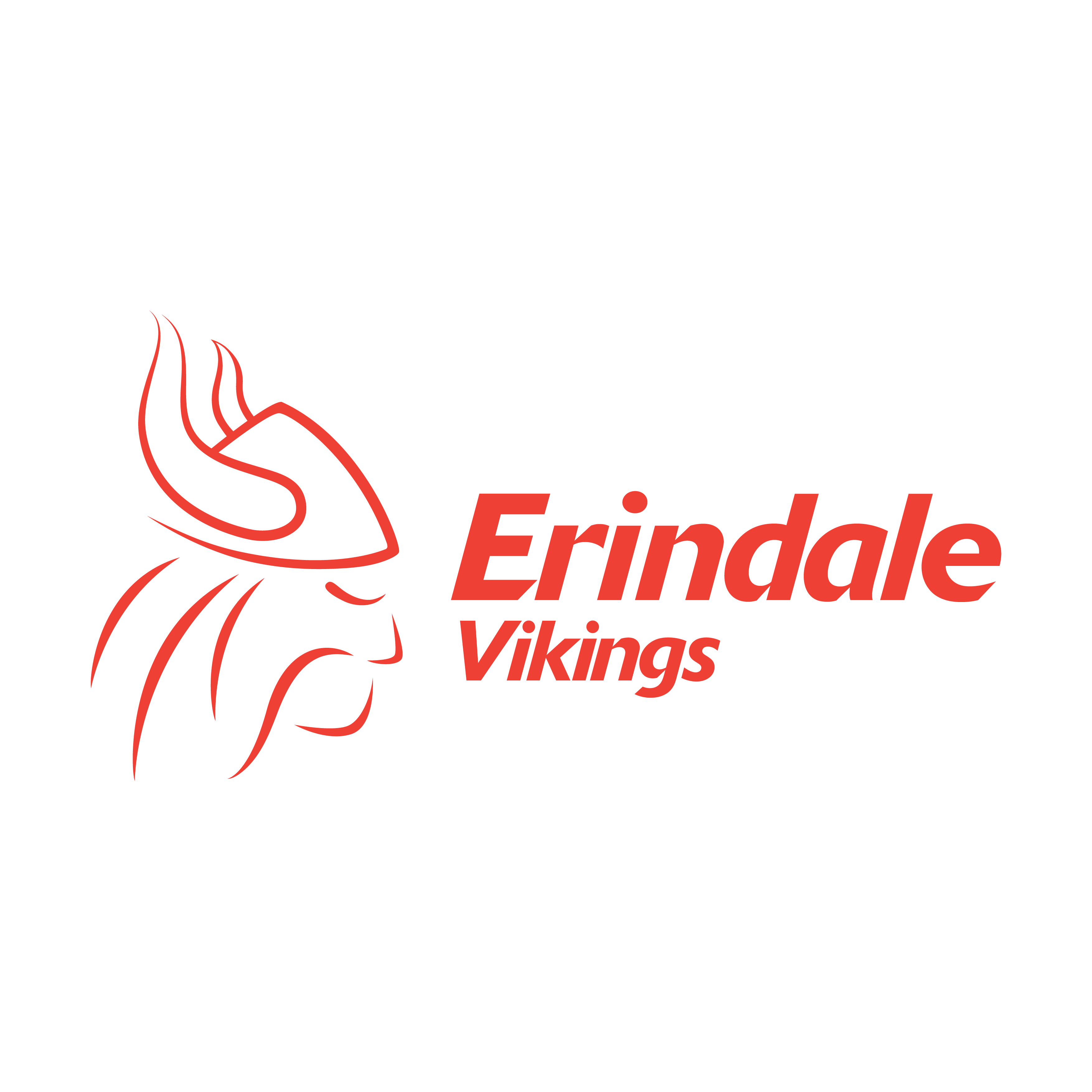 Erindale Vikings Logo