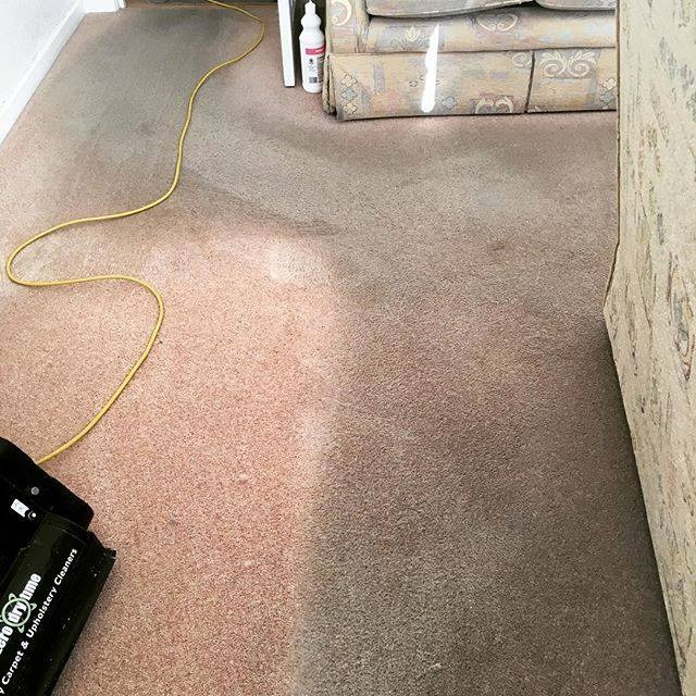 Dry Carpet Cleaning