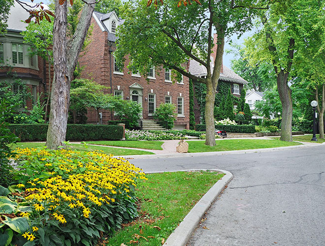 Images Newbury Park Tree Service