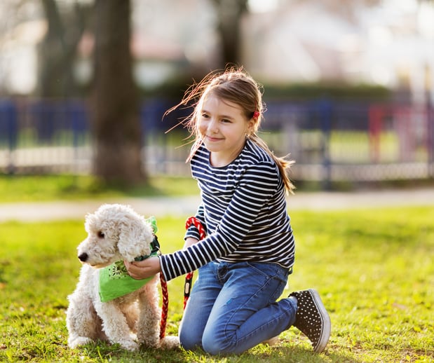 Images Great Outdogs