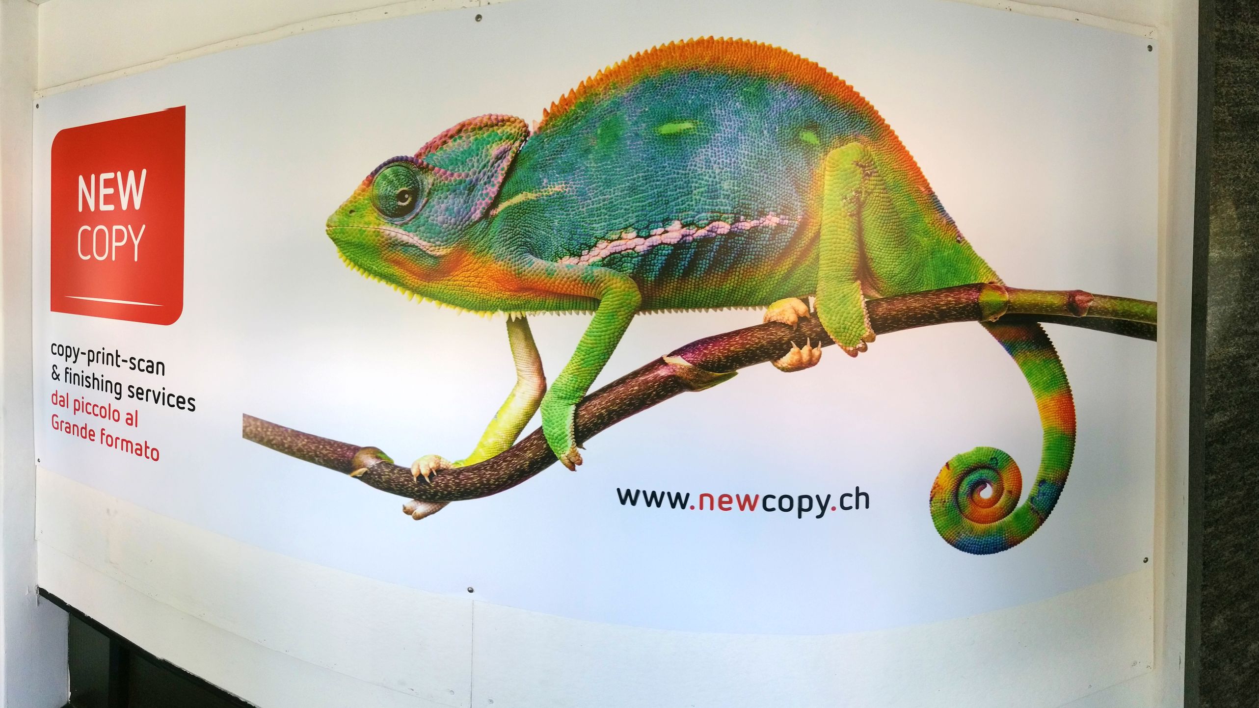 Bilder New Copy Sagl