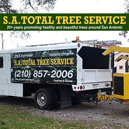 SA Total Tree Service Photo