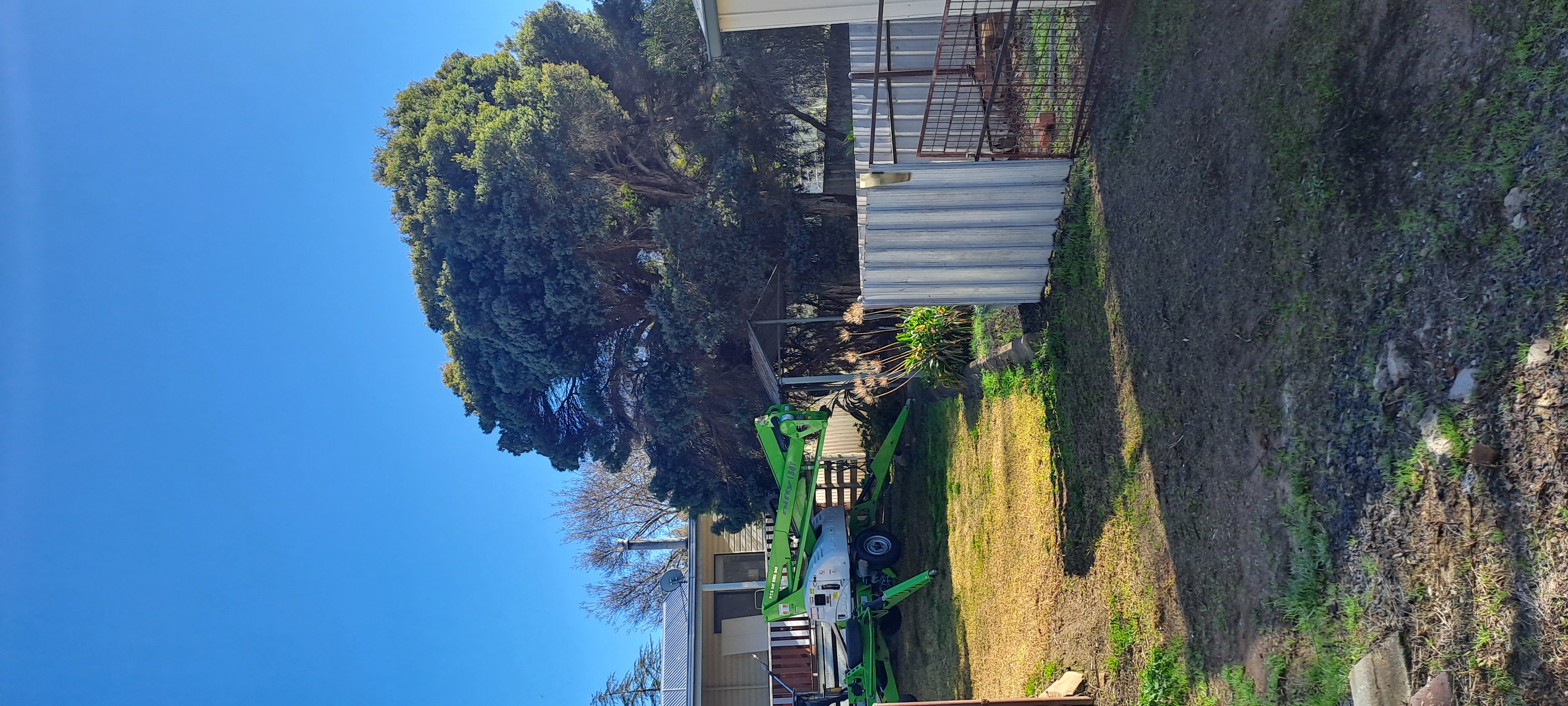 Images Phil's Tree Service