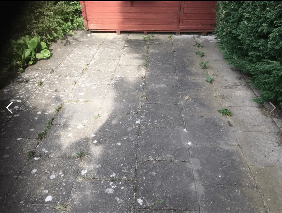Images Jetmaster Clean