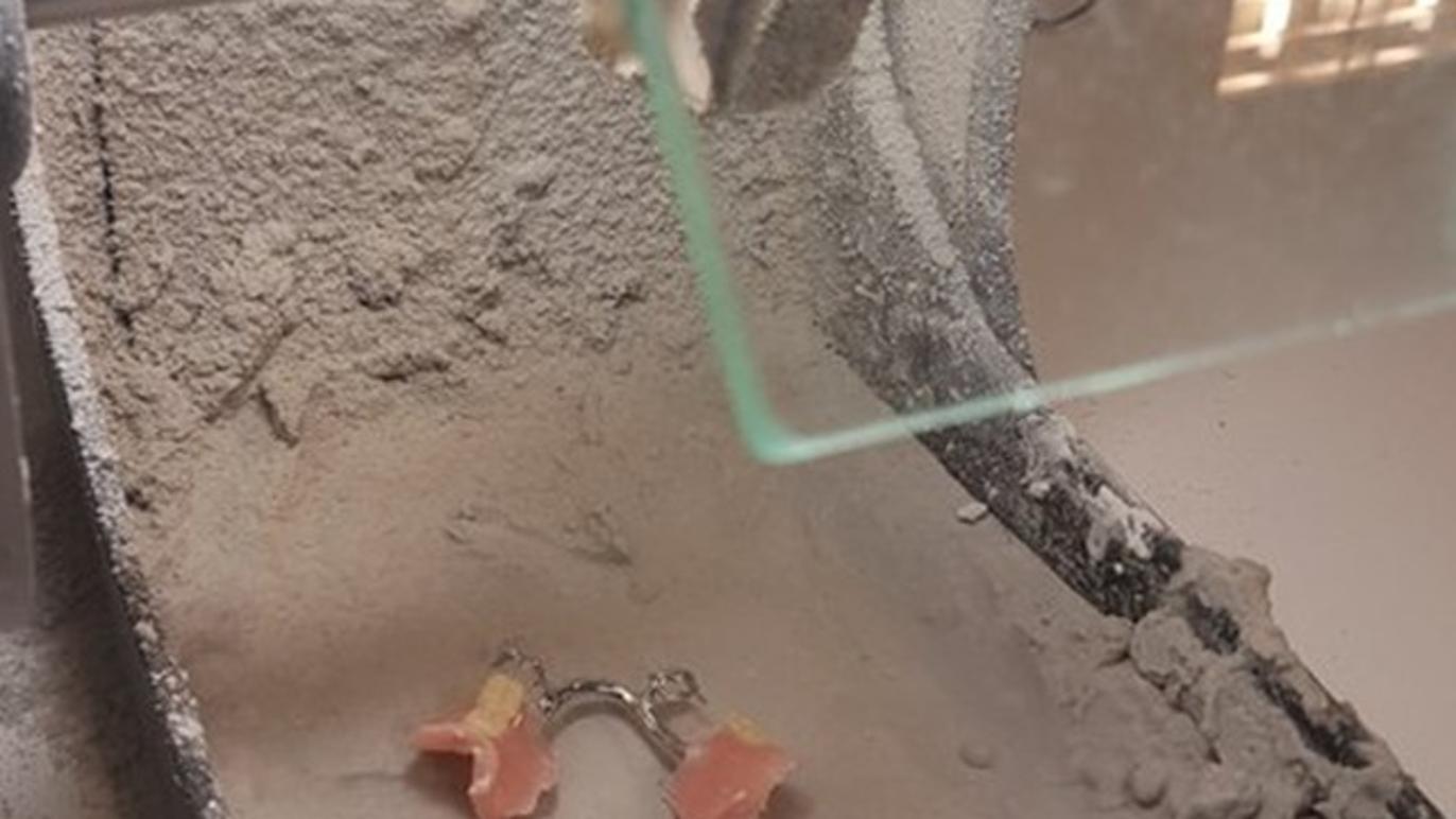 Images Kliniske Tandteknikere Linda Holst & Christian Boljanac