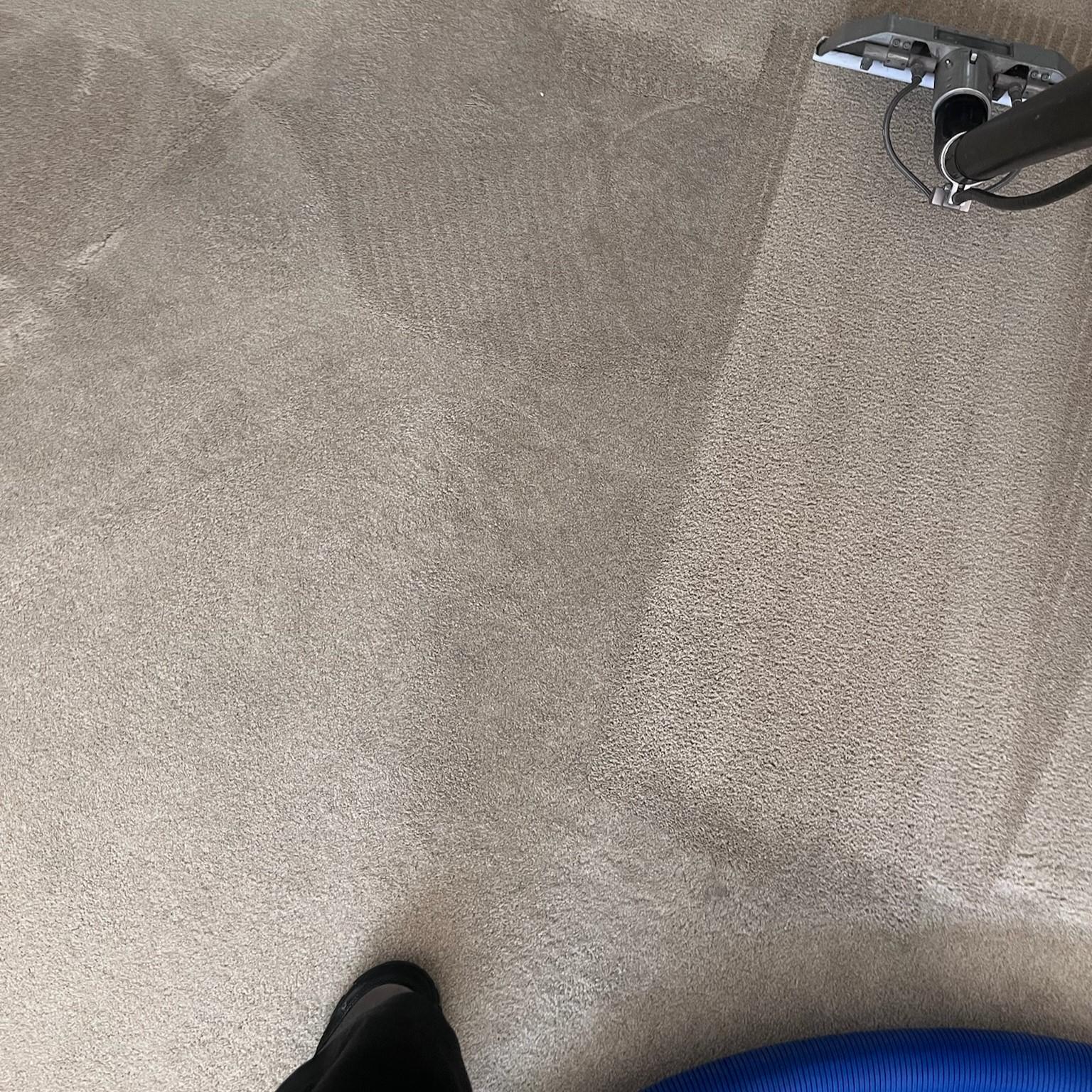 carpet cleaner in Chandler, Arizona