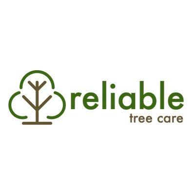 Reliable Tree Care