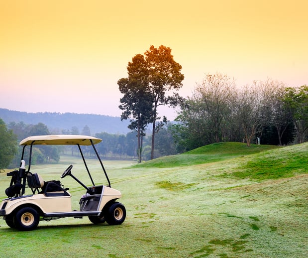 Images A-1 Golf Cars