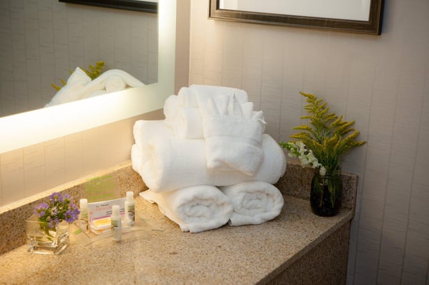 Images Holiday Inn Greenville by IHG