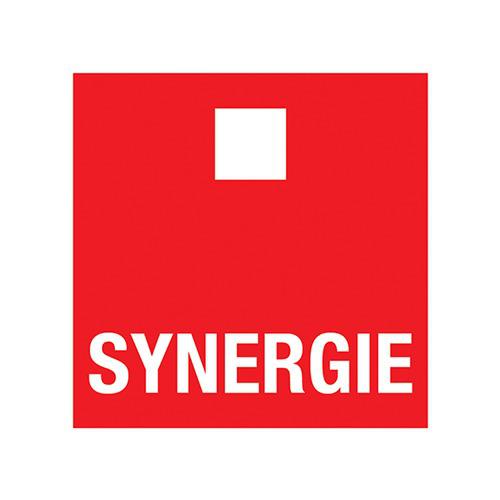 Synergie Gosselies Interim Logo