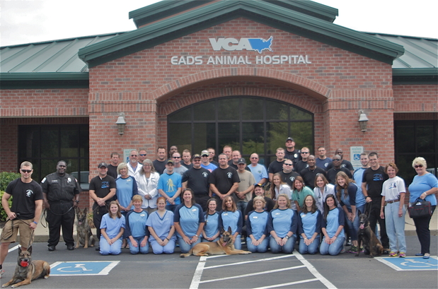 Images VCA Eads Animal Hospital