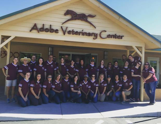 Images Adobe Veterinary Center