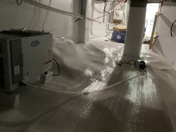 Images Ox Foundation Solutions