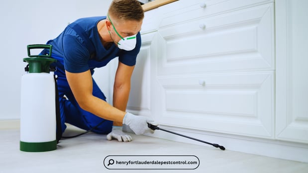 Images Pest Control Fort Lauderdale