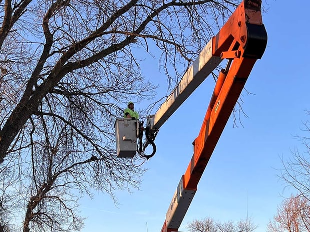 Images Wellman Tree Service