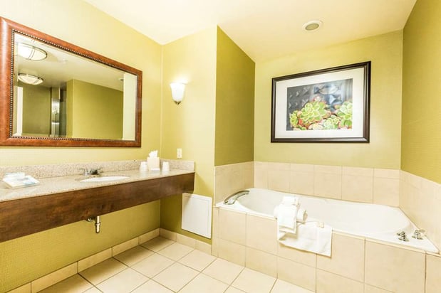 Images Hilton Garden Inn St. George