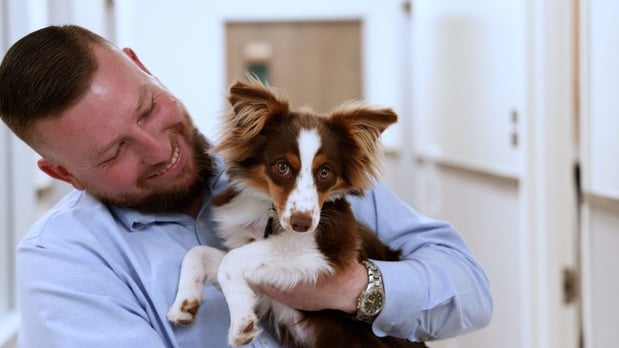 Images VCA Mainland Animal Hospital