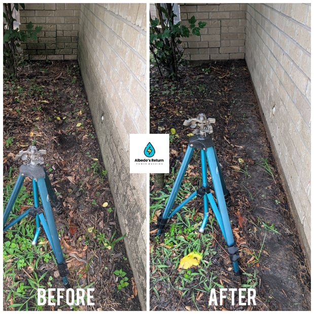 Images Albedo's Return Power Washing