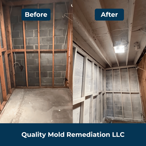 Images Quality Mold Remediation LLC