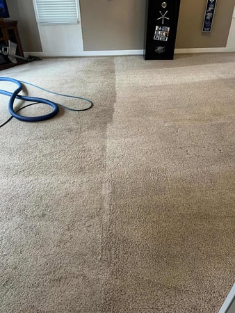 Images Allen's Carpet Care Plus