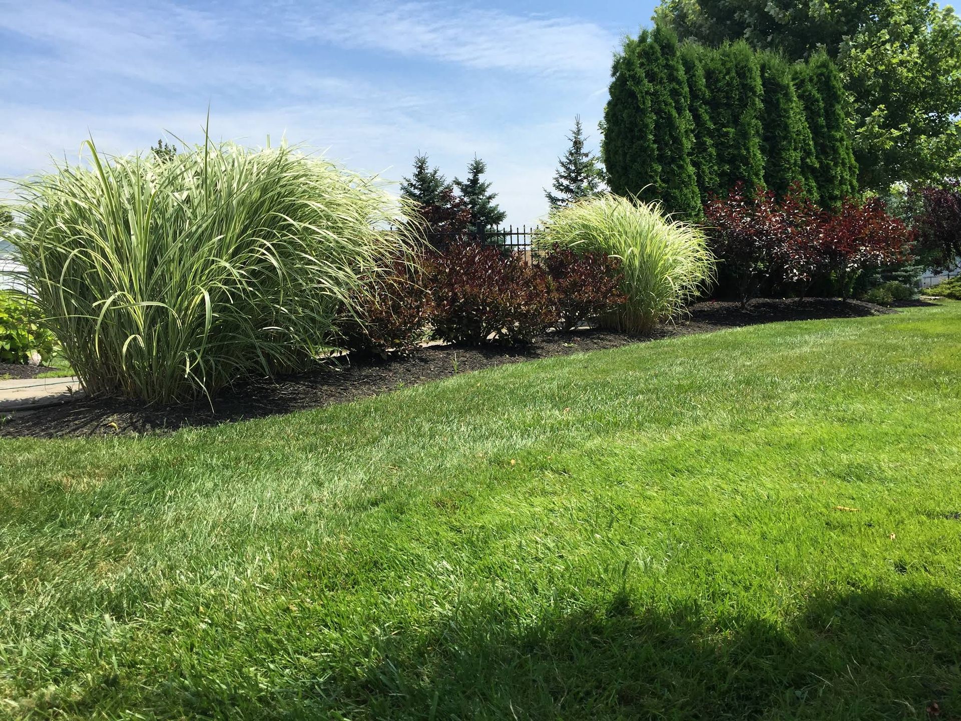 Tripi's Landscaping Image