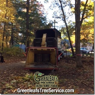 Greenleaf's Tree Service Photo