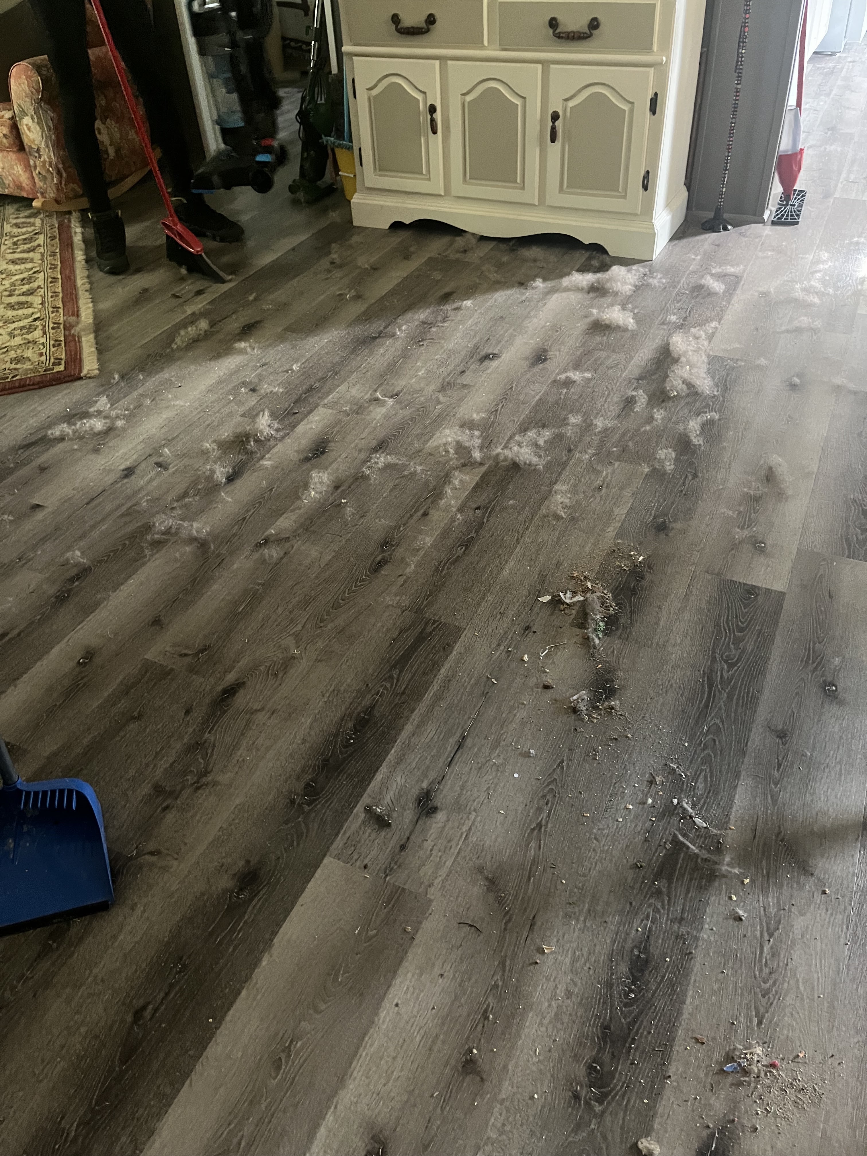 A person is cleaning a floor covered in pet hair and debris with a broom and dustpan. A chest of drawers is visible in the background. The floor is made of wood-look planks.