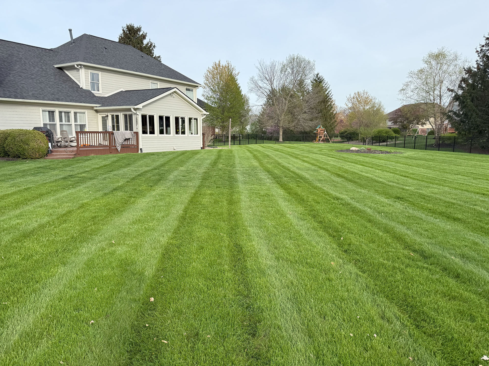 Rooted Lawn & Landscape Image