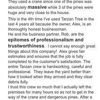 Images Tarzan Tree Service
