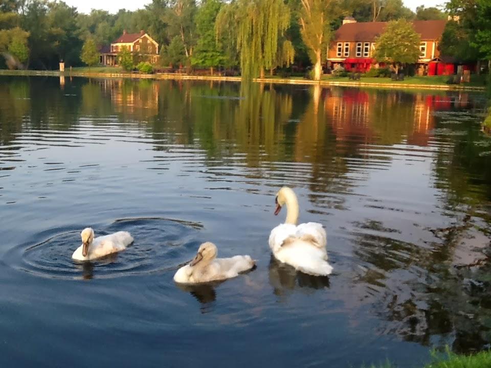 Gervasi Vineyard Resort & Spa