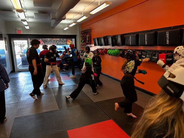 Images SDSS Martial Arts of Greenwich