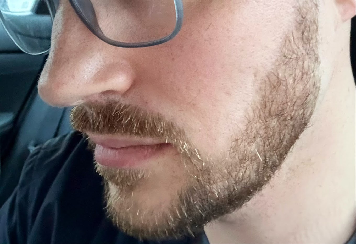 Royal Cut Kings Image