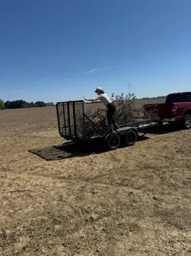 Black Swamp Tree Services Image