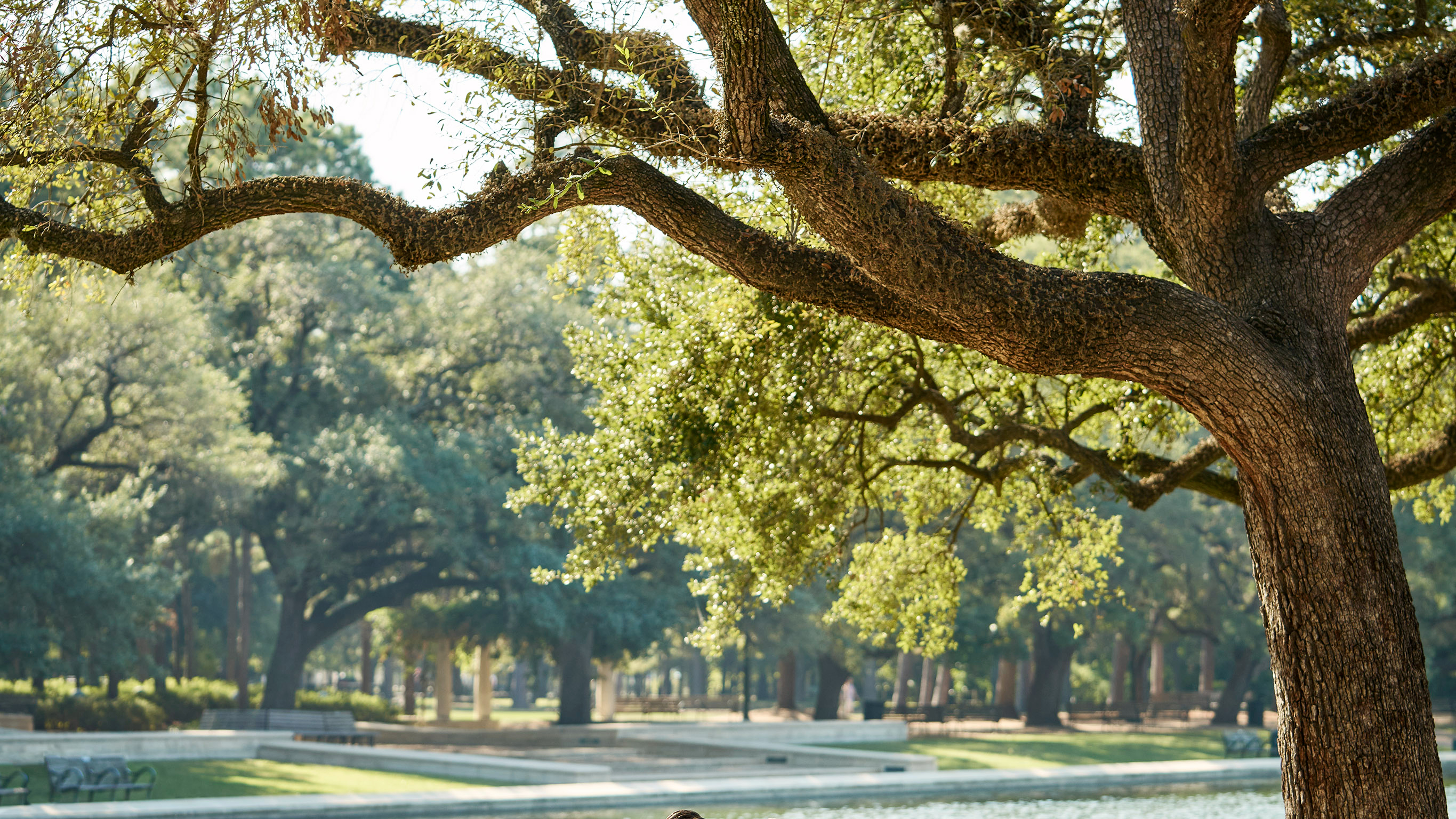 Four Seasons Hotel Houston Image