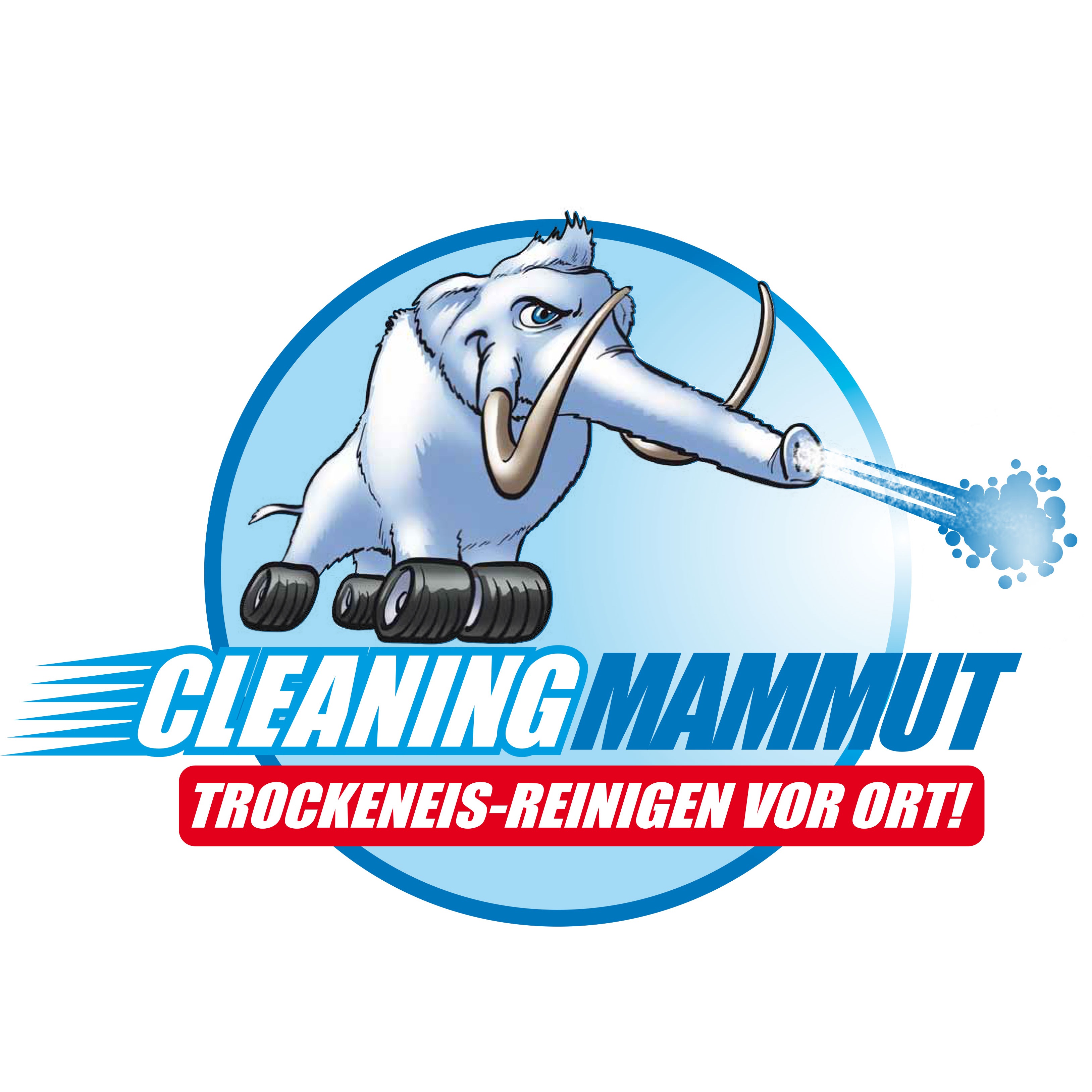 Logo Logo Cleaning Mammt Trockeneis-Reinigen vor Ort