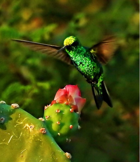 Gallery thumbnail