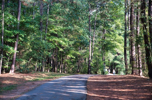 Images Camden Lake Pine Apartments