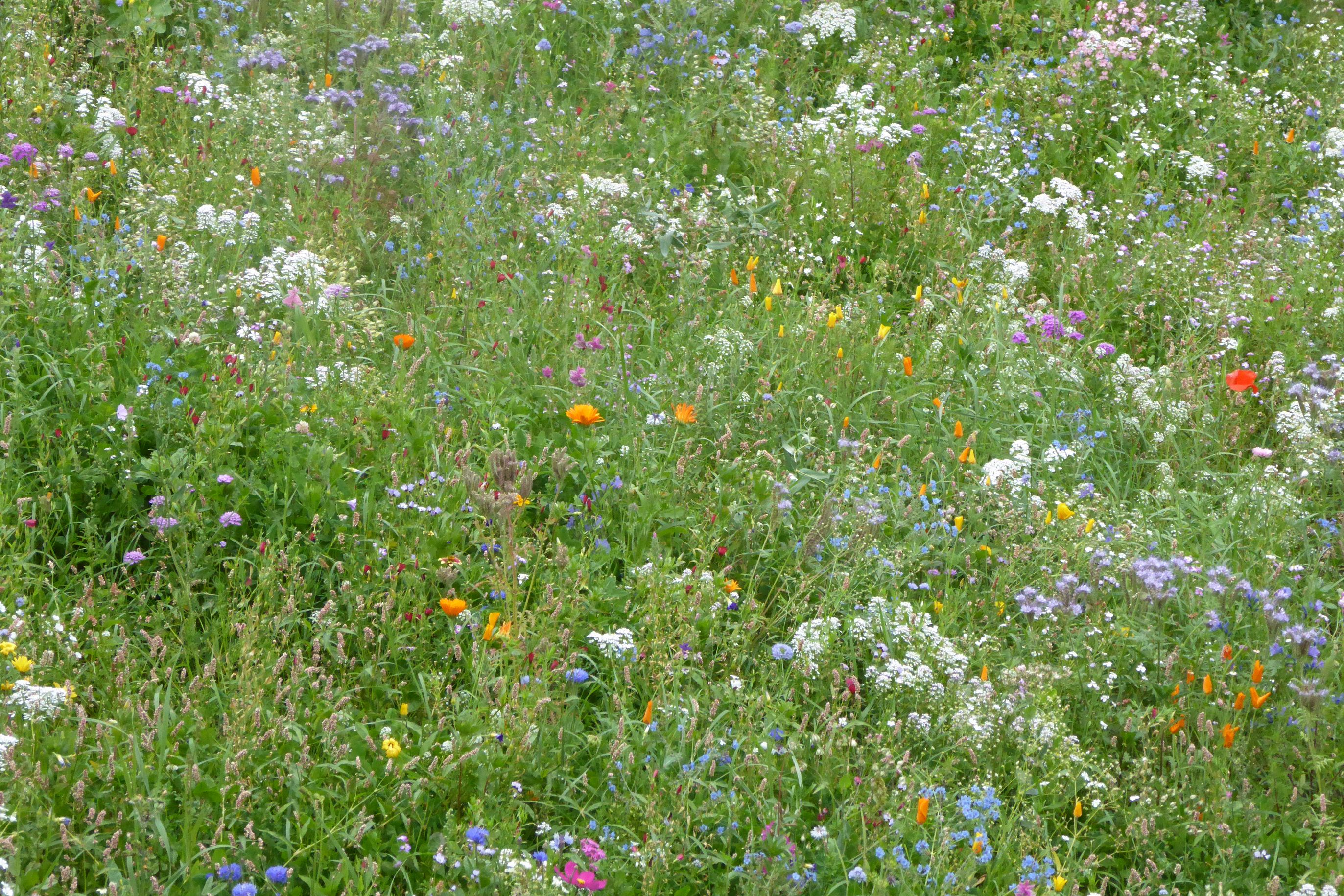 Bilder Vurlod Fils Sàrl