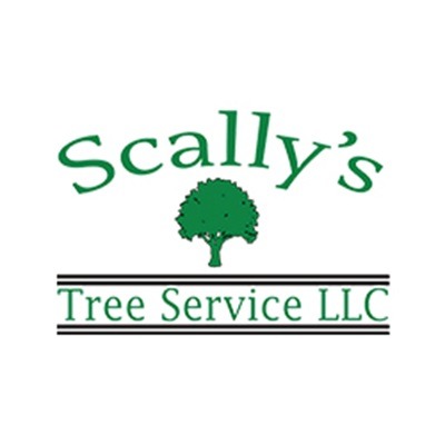 Scally's Tree Service - Woonsocket, RI 02895 - (401)525-1897 | ShowMeLocal.com