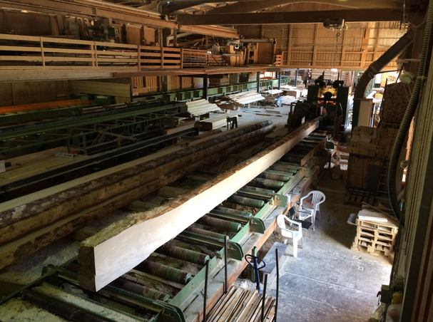 Bilder Bachmann Sägerei AG